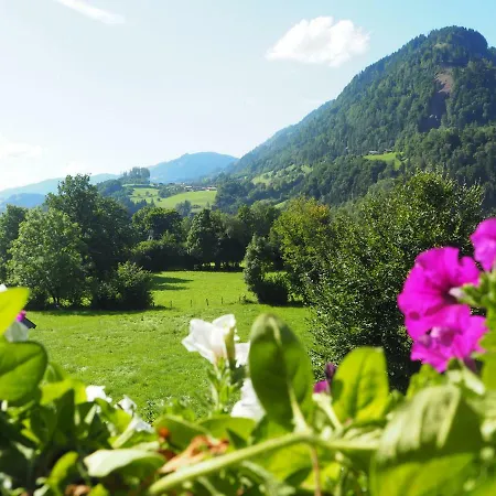 Rohrmoser * Sankt Johann im Pongau